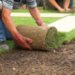 laying-sod-for-new-lawn