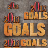 2013-Goalsl