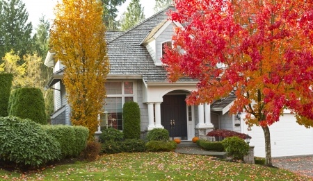 Getting House Ready for Fall