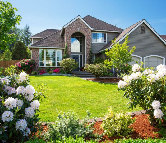 9 Easy Ways to Add Curb Appeal to Your Home